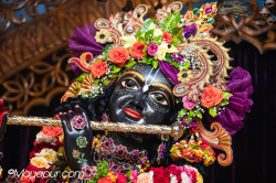 Daily Darshan