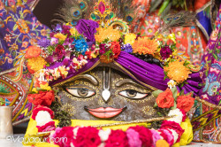 Daily Darshan