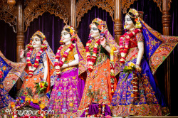 Daily Darshan