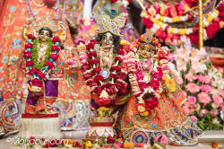 Daily Darshan