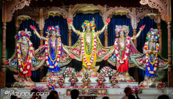 Daily Darshan