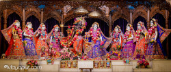 Daily Darshan