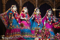 Daily Darshan