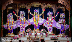 Daily Darshan