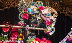 Daily Darshan