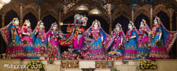 Daily Darshan