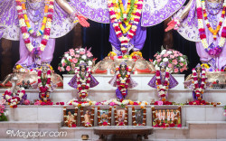 Daily Darshan