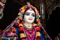 Daily Darshan