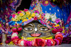 Daily Darshan