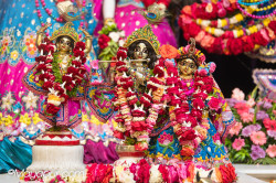 Daily Darshan