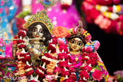 Daily Darshan