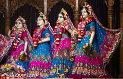 Daily Darshan