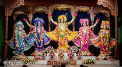 Daily Darshan