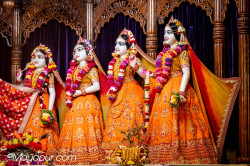 Daily Darshan