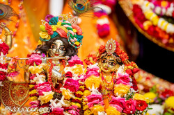 Daily Darshan