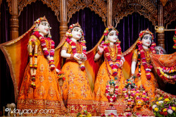 Daily Darshan