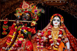 Daily Darshan