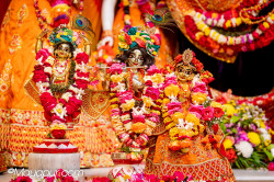 Daily Darshan