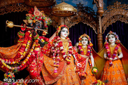Daily Darshan