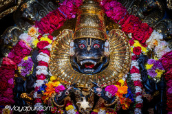 Daily Darshan