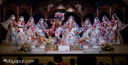 Daily Darshan