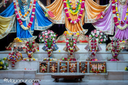 Daily Darshan