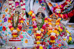 Daily Darshan