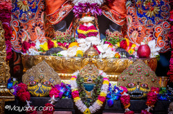 Daily Darshan