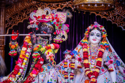 Daily Darshan