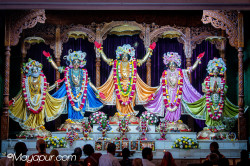 Daily Darshan