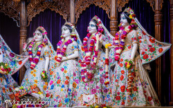 Daily Darshan