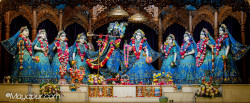 Daily Darshan