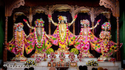Daily Darshan