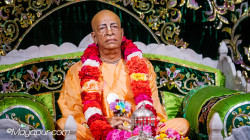 Daily Darshan