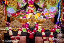 Daily Darshan