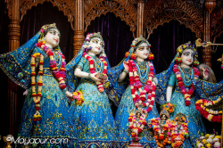 Daily Darshan