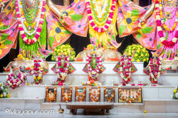 Daily Darshan
