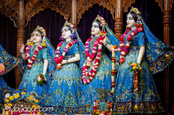 Daily Darshan