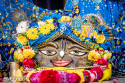 Daily Darshan