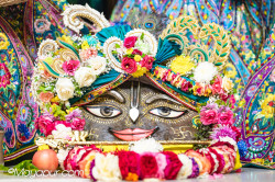 Daily Darshan