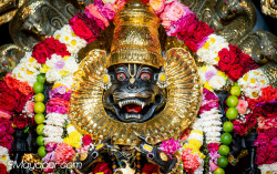 Daily Darshan