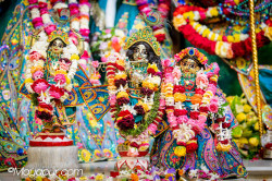 Daily Darshan