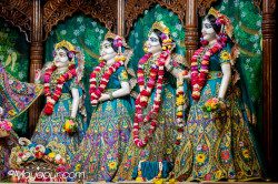 Daily Darshan