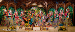 Daily Darshan
