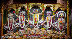 Daily Darshan
