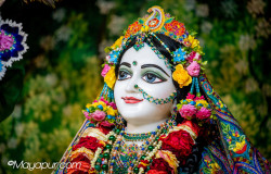 Daily Darshan