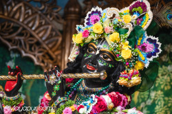 Daily Darshan