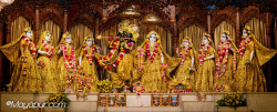Daily Darshan