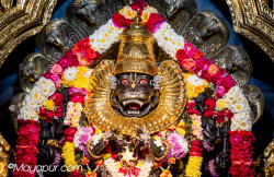 Daily Darshan