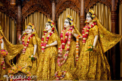 Daily Darshan